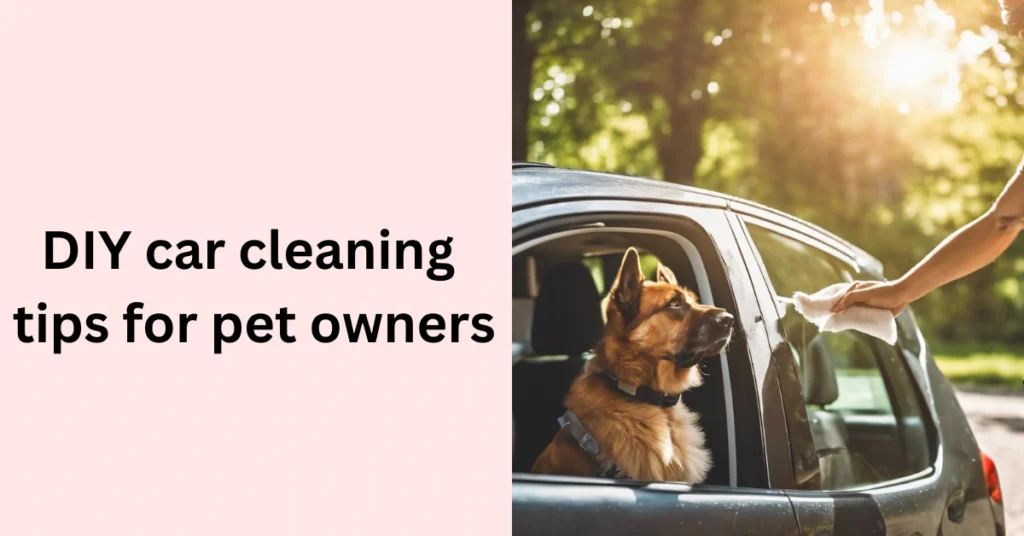 DIY car cleaning tips for pet owners, how to get dog hair out of car