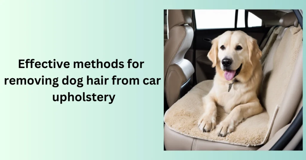 Effective methods for removing dog hair from car upholstery, how to get dog hair out of car