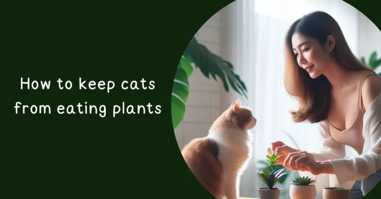 Read more about the article How to keep cats from eating plants: 10 Foolproof Ways