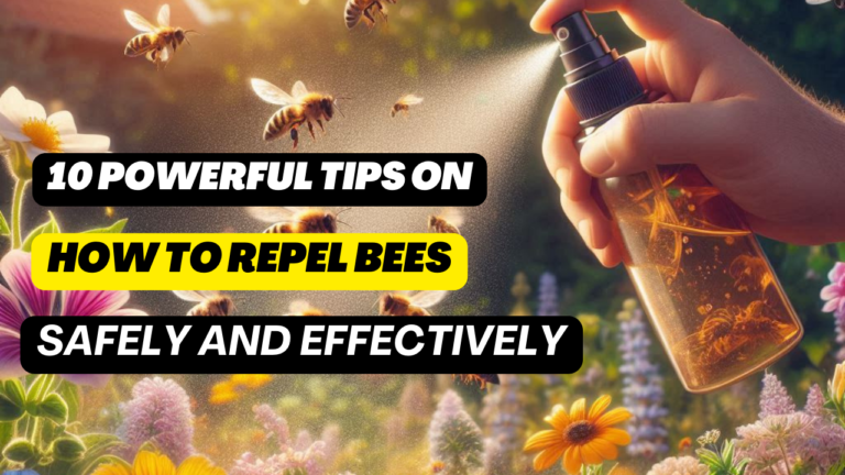 Read more about the article 10 Powerful Tips on How to Repel Bees Safely and Effectively